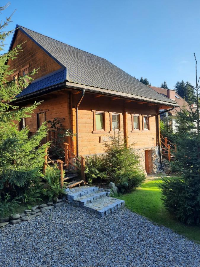 Apartament Nad Potokiem วีสวา ภายนอก รูปภาพ